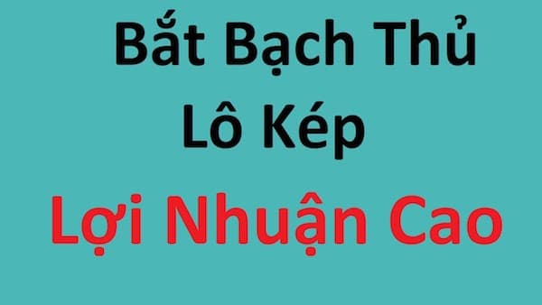 bí kíp bắt lô kép chotlo3s.com