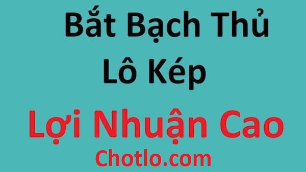 bắt lô kép có 1 không 2 chotlo3s.com