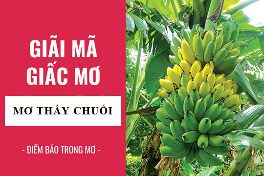 Nằm mơ thấy chuối đánh con gì chotlo3s.com