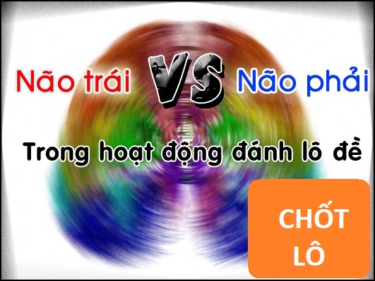 Cách não phải và não trái vận động trong lô đề chotlo3s.com