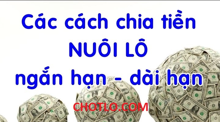 Kinh nghiệm chia tiền nuôi lô đơn giản cho ngắn hạn và dài hạn chotlo3s.com