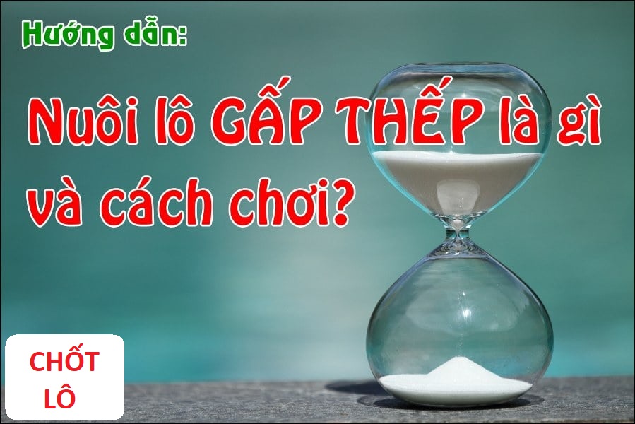 Nuôi lô gấp thếp là gì và cách chơi như thế nào? chotlo3s.com