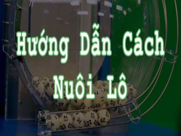 nuôi lô bạch thủ khung 2 ngày