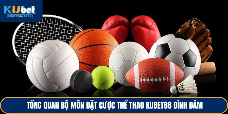 tong-quan-bo-mon-dat-cuoc-the-thao