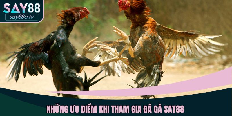 nhung-uu-diem-khi-tham-gia-da-ga-say88
