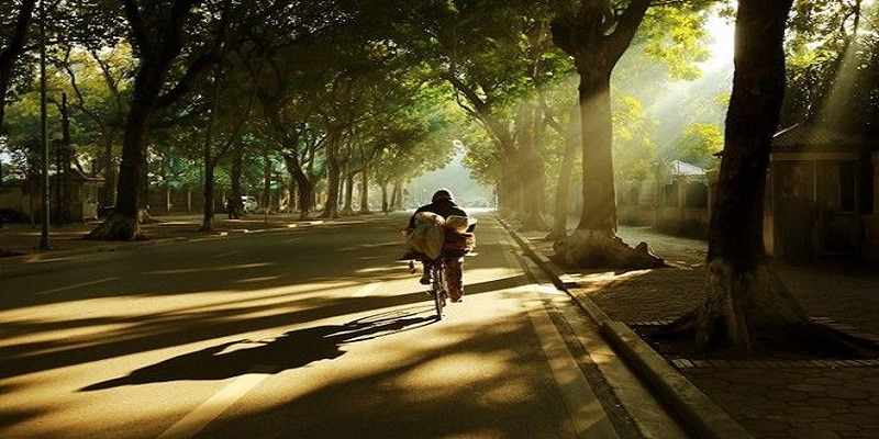 anh-anh-sang-nhan-tao