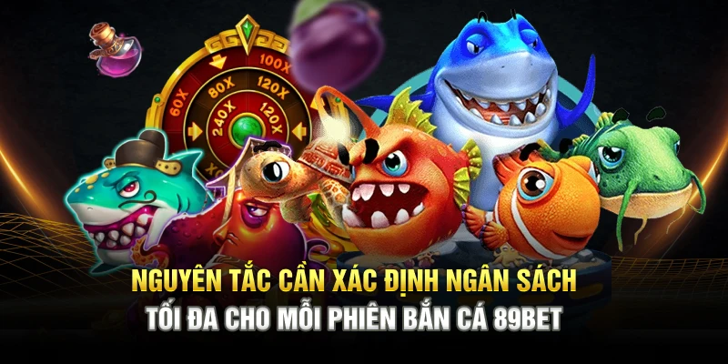 nguyen-tac-can-xac-dinh-ngan-sach-toi-da