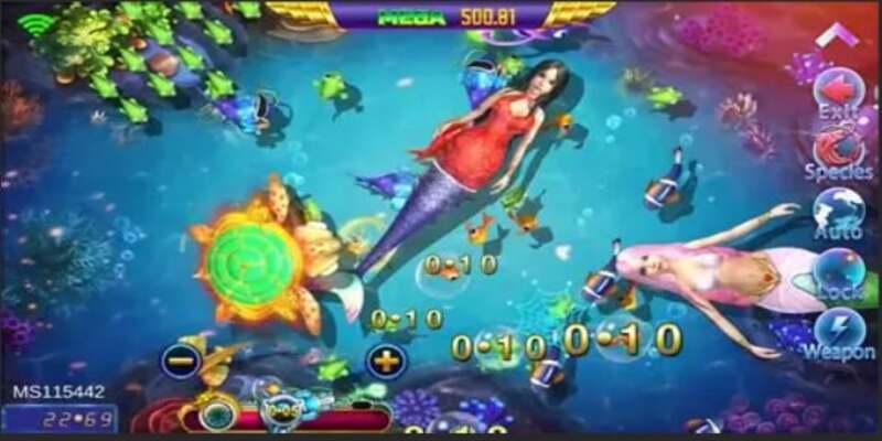 nhung-luu-y-khi-tham-gia-ban-ca-tai-sumvip