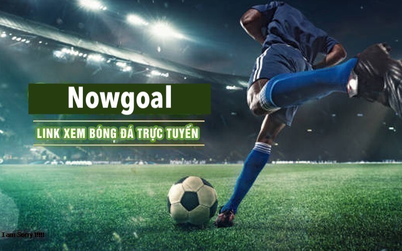 Nowgoal-bong-da-la-gi