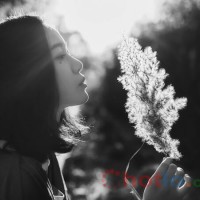 Mơ thấy người yêu cũ thì đánh lô đề con gì