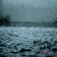 Mơ thấy mưa đánh lô đề con gì