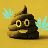 Mơ thấy cứt thì đánh lô đề con gì