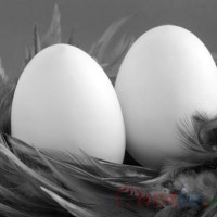 Mơ thấy quả trứng thì đánh lô đề con gì