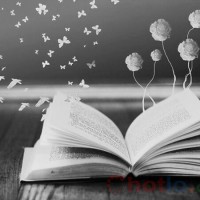Mơ thấy cuốn sách thì đánh lô đề con gì