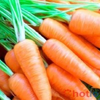 Soi cầu MB khi mơ thấy củ cà rốt thì đánh lô đề con gì