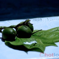 Soi cầu MB khi mơ thấy trầu cau thì đánh lô đề con gì