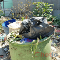 Vứt vé soi cầu xổ số cả chục tỉ đồng vào sọt rác