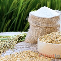 Soi cầu MB khi mơ thấy lúa gạo thì đánh lô đề con gì