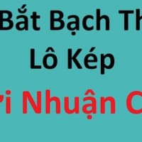 Cách bắt lô kép miền bắc do cao thủ truyền lại