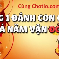 Mùng 1 Đánh Đề Con Gì Để Cả Năm Vận Đỏ