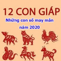 Cách đánh lô đề đầu xuân may mắn cả năm?