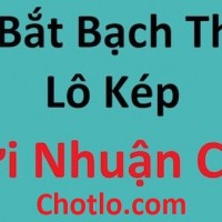 Bắt bạch thủ lô kép 