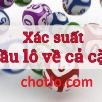 Dự đoán xác xuất lô về cả cặp chuẩn nhất hôm nay