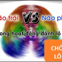 Cách não phải và não trái vận động trong lô đề