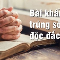 Mẫu bài khấn cầu trúng số độc đắc (P1)