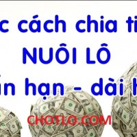 Kinh nghiệm chia tiền nuôi lô đơn giản cho ngắn hạn và dài hạn