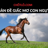 Bàn về giấc mơ thấy con ngựa
