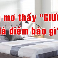 Nằm mơ thấy giường là điềm báo gì?