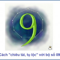 Cách chiêu tài, tụ lộc với bộ số 09