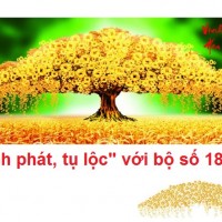 Sinh phát, tụ lộc với bộ số 18-81