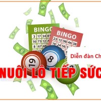 Nuôi Lô Tiếp Sức - Chiến thắng từ thất bại của lô khung