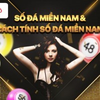 Cách chơi số đá và tính tiền số đá chi tiết nhất