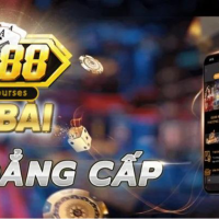 Giới thiệu chi tiết về Go88 thiên đường hoàng gia