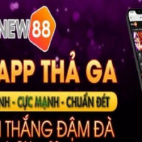 Hướng dẫn tải app New88 trên máy tính và điện thoại